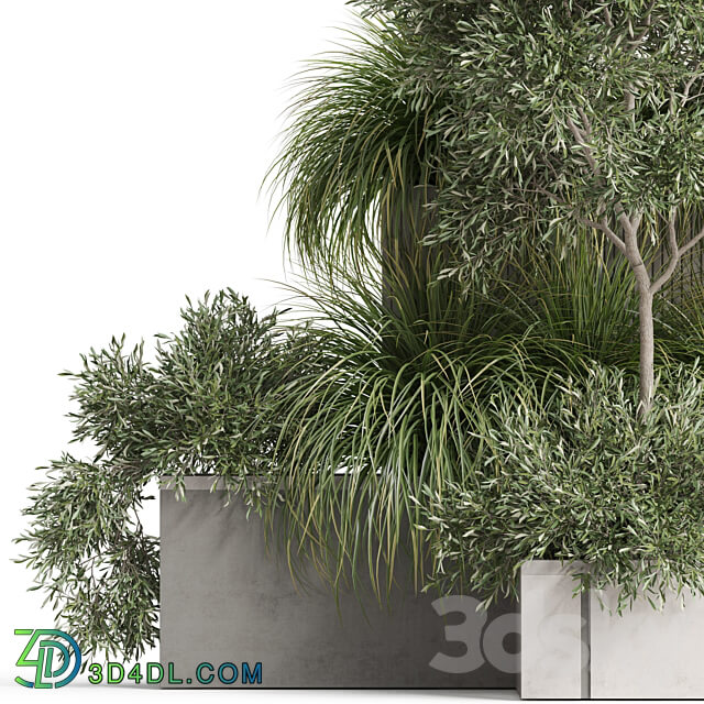 Plants collection 770 3D Models