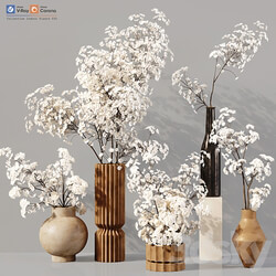 Collection Indoor Plants 030 3D Models 