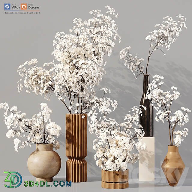 Collection Indoor Plants 030 3D Models