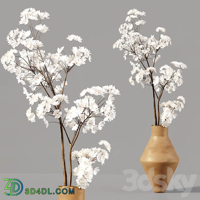 Collection Indoor Plants 030 3D Models