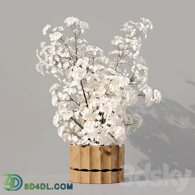 Collection Indoor Plants 030 3D Models