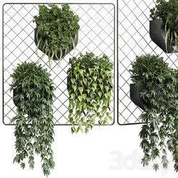 wall plant hanging plants collection Indoor plant 293 metal dirt vase 3D Models 