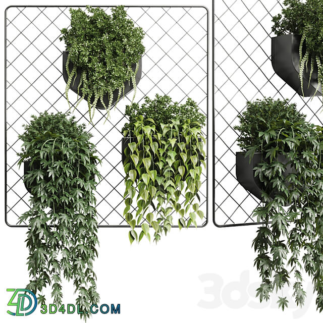 wall plant hanging plants collection Indoor plant 293 metal dirt vase 3D Models