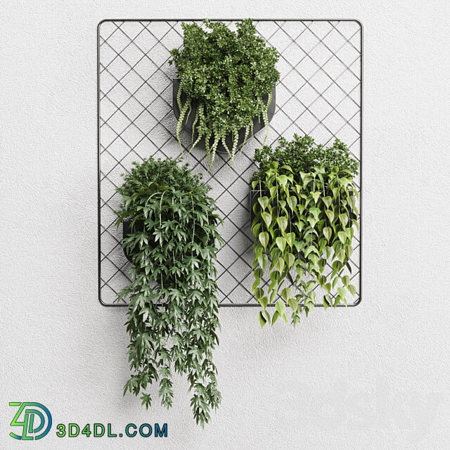 wall plant hanging plants collection Indoor plant 293 metal dirt vase 3D Models