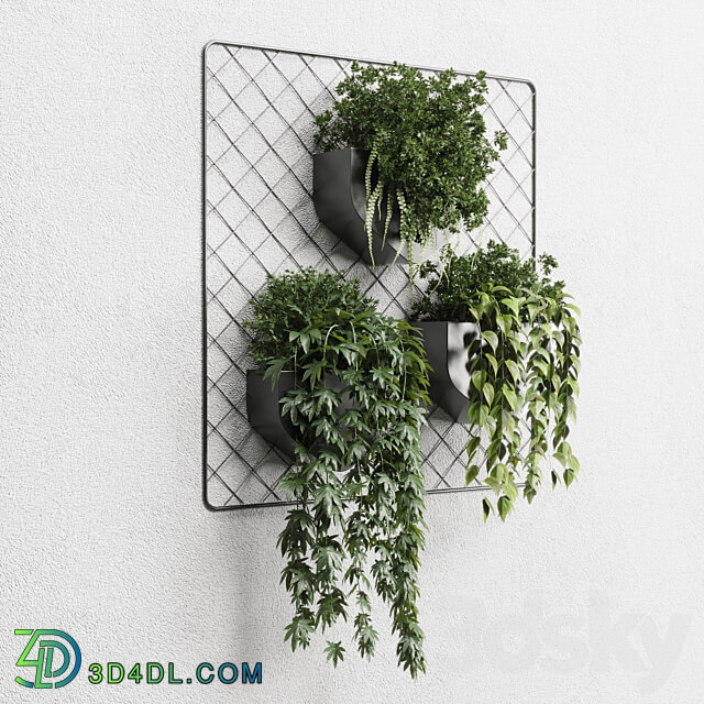 wall plant hanging plants collection Indoor plant 293 metal dirt vase 3D Models