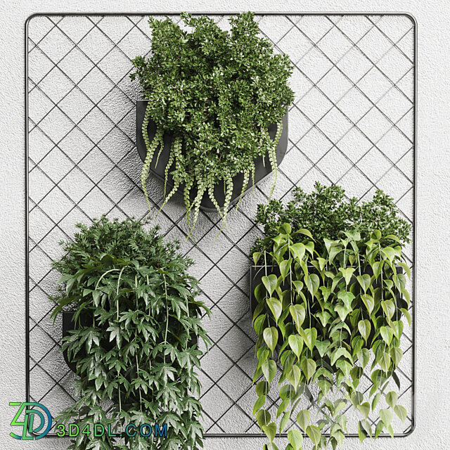 wall plant hanging plants collection Indoor plant 293 metal dirt vase 3D Models