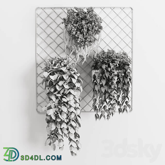 wall plant hanging plants collection Indoor plant 293 metal dirt vase 3D Models