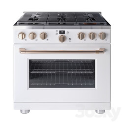 Cafe 36 Smart All Gas Commercial Style Range with 6 Burners 3D Models 