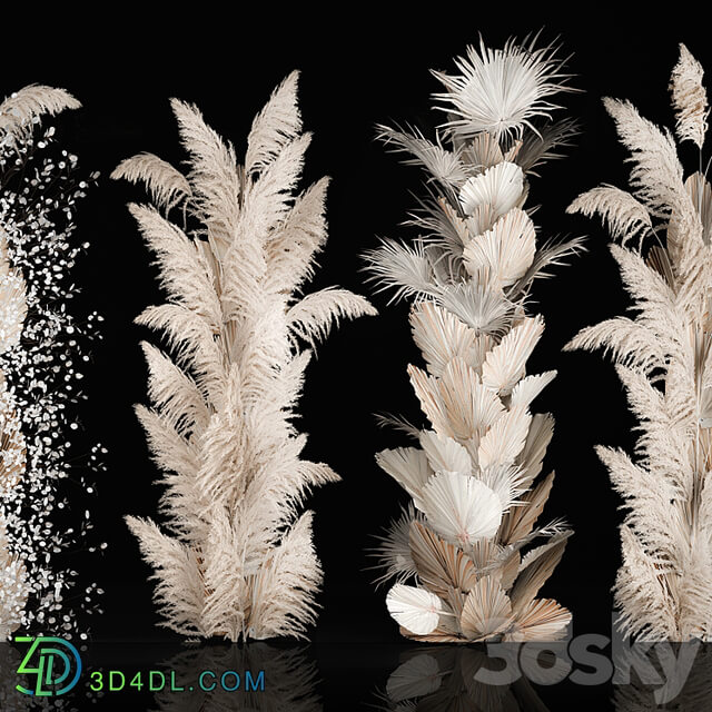 Wedding decorations from columns of dried flowers and pampas grass, Cortaderia, moonflower, dry, palm branch. Bouquet 289.