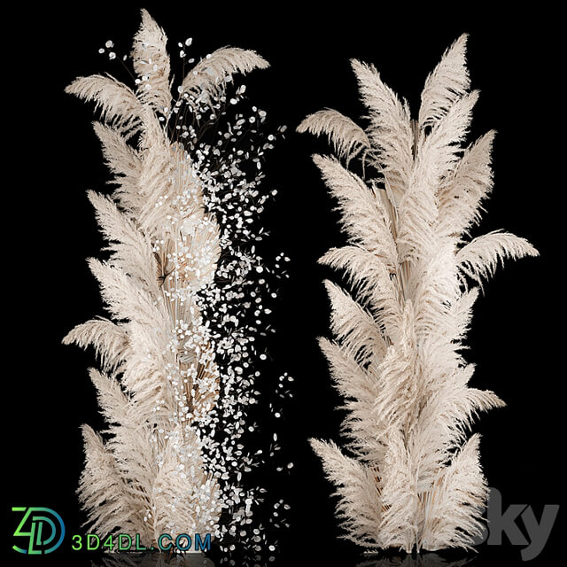 Wedding decorations from columns of dried flowers and pampas grass, Cortaderia, moonflower, dry, palm branch. Bouquet 289.