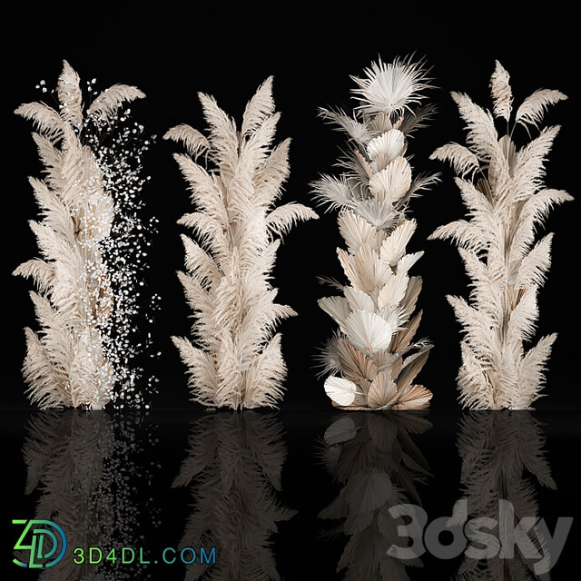 Wedding decorations from columns of dried flowers and pampas grass, Cortaderia, moonflower, dry, palm branch. Bouquet 289.