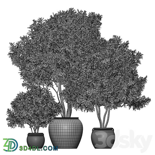 Plant 3 3D Models