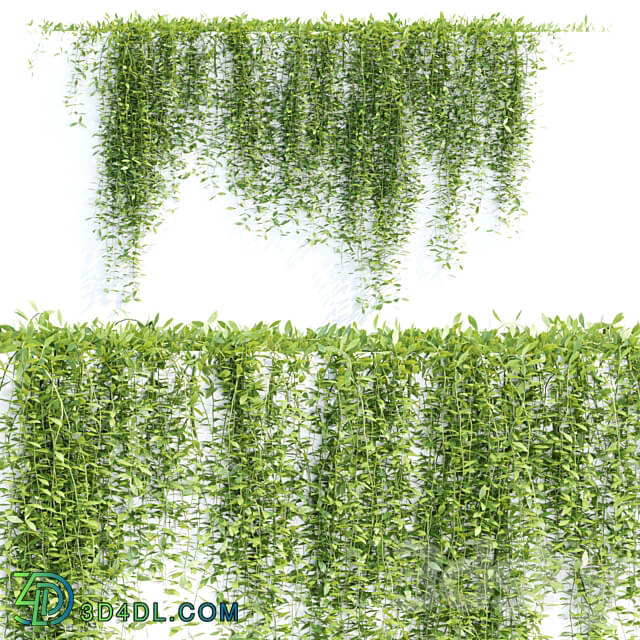 Creeper plants for wall collection vol 144 3D Models