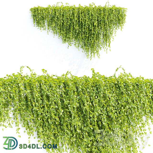 Creeper plants for wall collection vol 144 3D Models