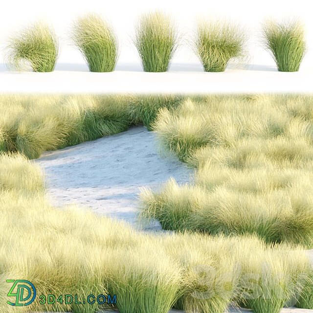 Maram Grass collection vol 155 3D Models