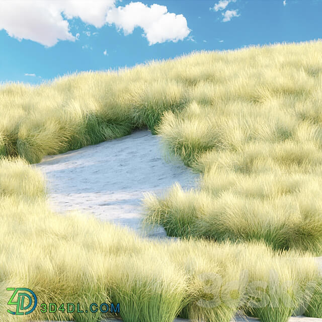 Maram Grass collection vol 155 3D Models