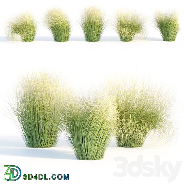 Maram Grass collection vol 155 3D Models