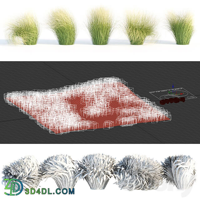 Maram Grass collection vol 155 3D Models