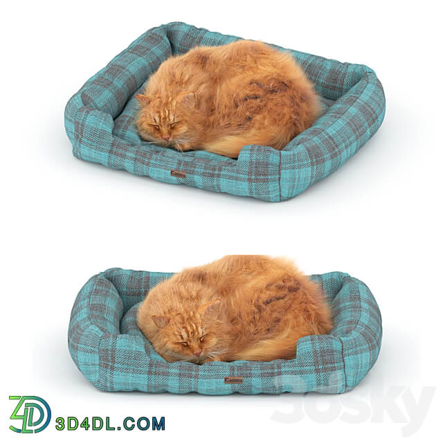 Ginger cat on the bed 3D Models