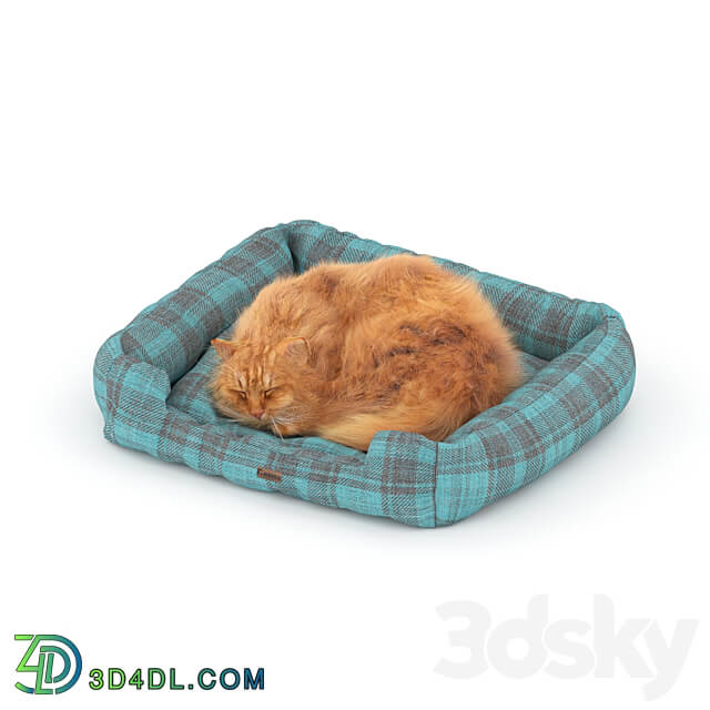 دانلود آبجکت Ginger cat on the bed 3D Models | مرجع دانلود آبجکت، تکسچر ...