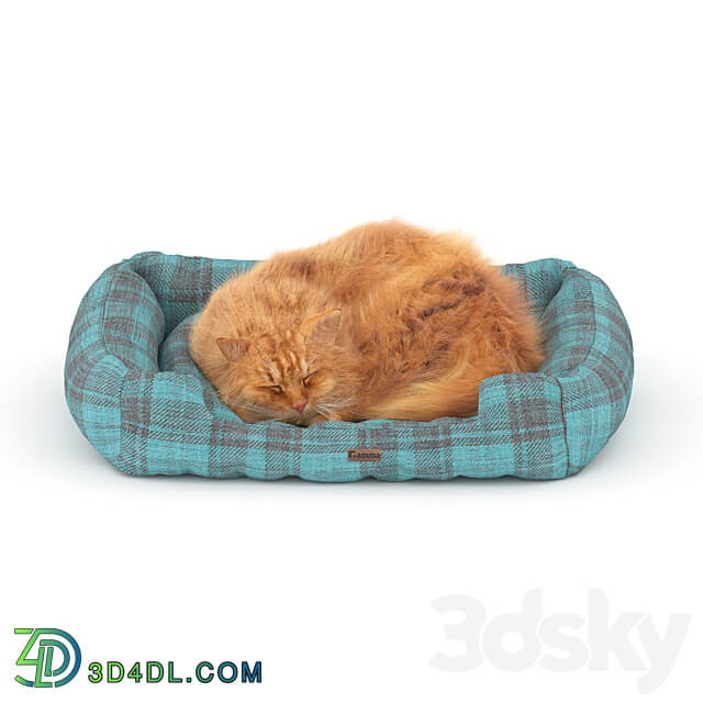 Ginger cat on the bed 3D Models