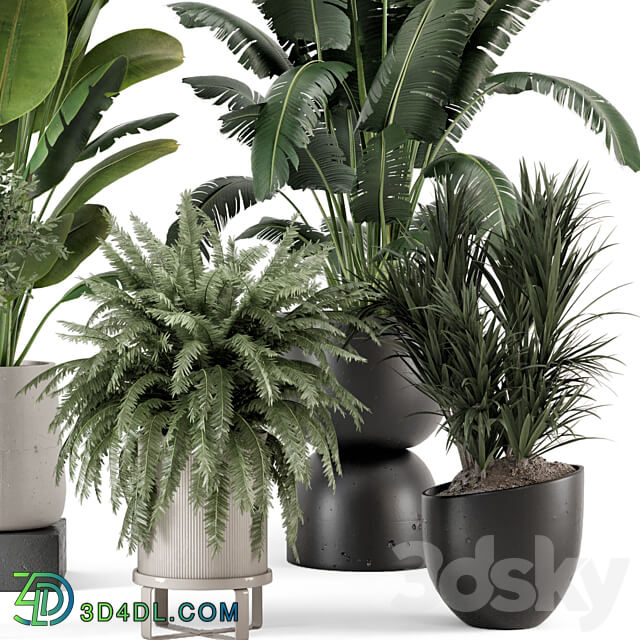 Indoor Plants in rusty Concrete Pot Set 1167 3D Models