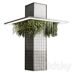 Column plant pillar plant 05 3D Models 