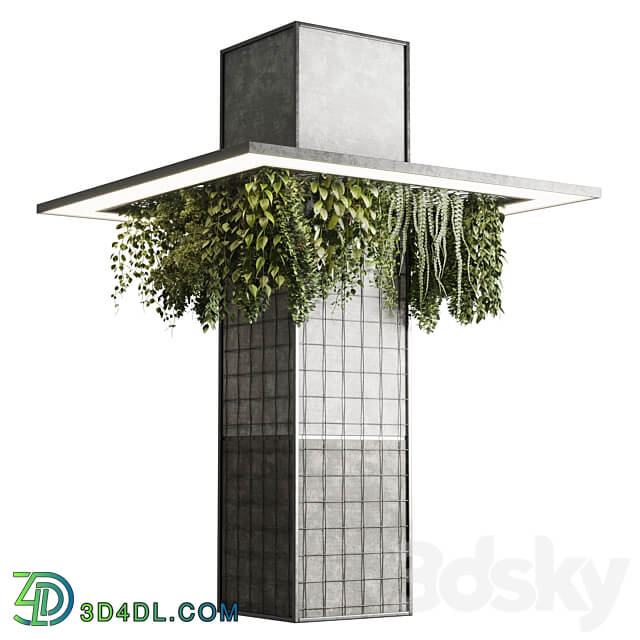 Column plant pillar plant 05 3D Models