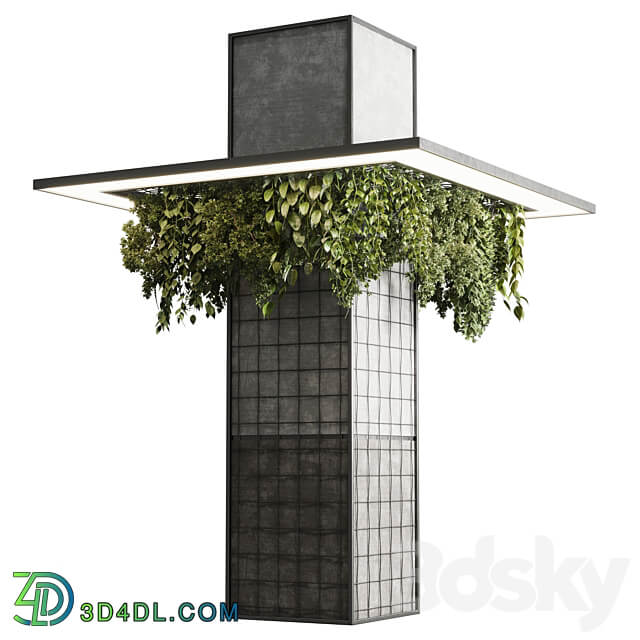 Column plant pillar plant 05 3D Models