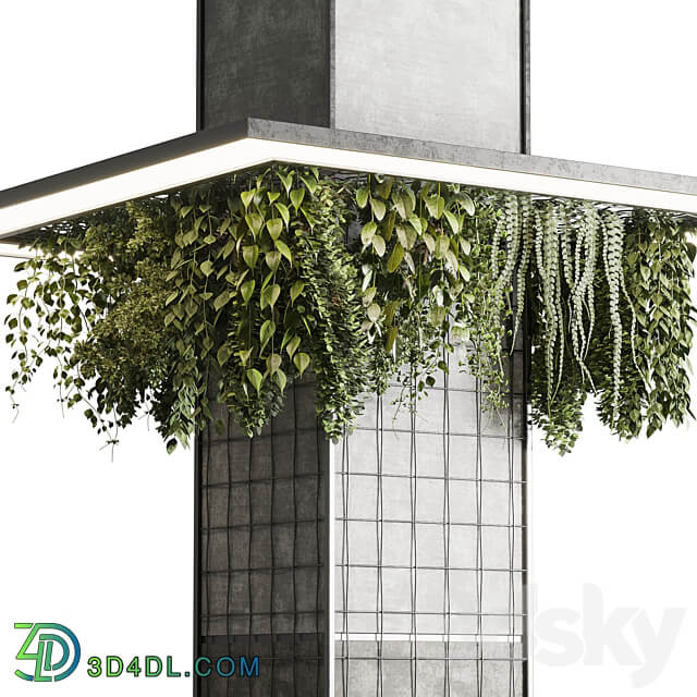 Column plant pillar plant 05 3D Models