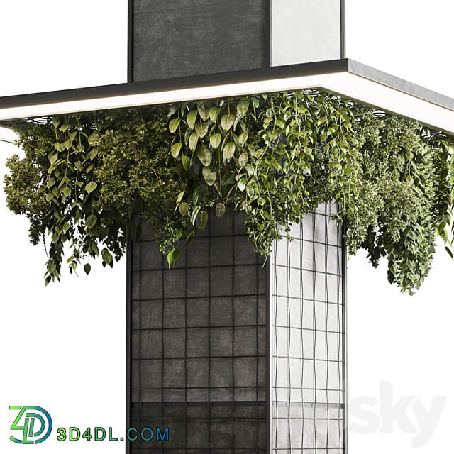 Column plant pillar plant 05 3D Models