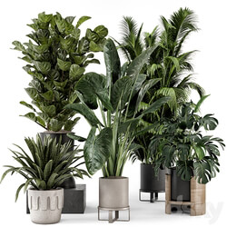 Indoor Plants in Ferm Living Bau Pot Large Set 1188 