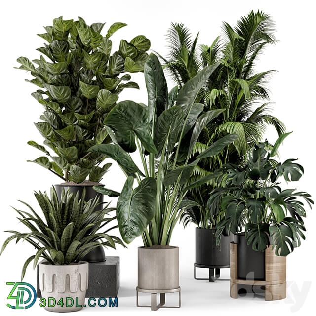 Indoor Plants in Ferm Living Bau Pot Large Set 1188