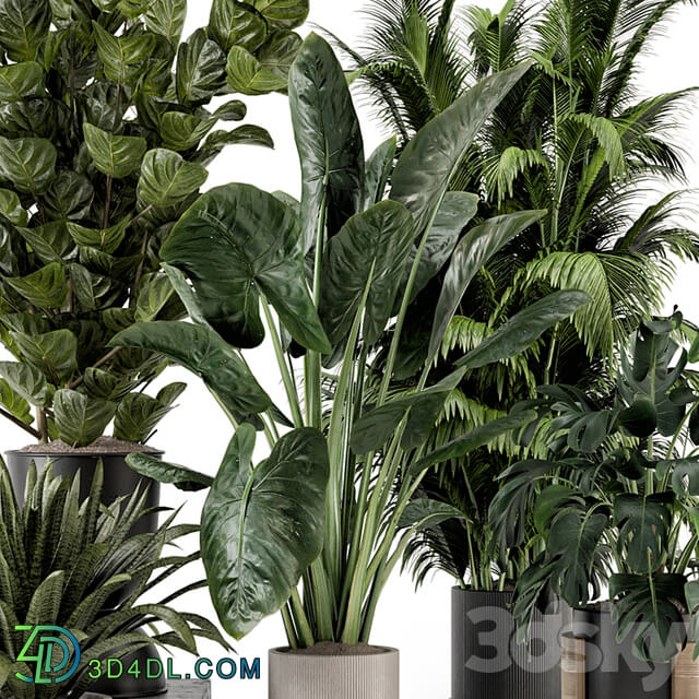 Indoor Plants in Ferm Living Bau Pot Large Set 1188