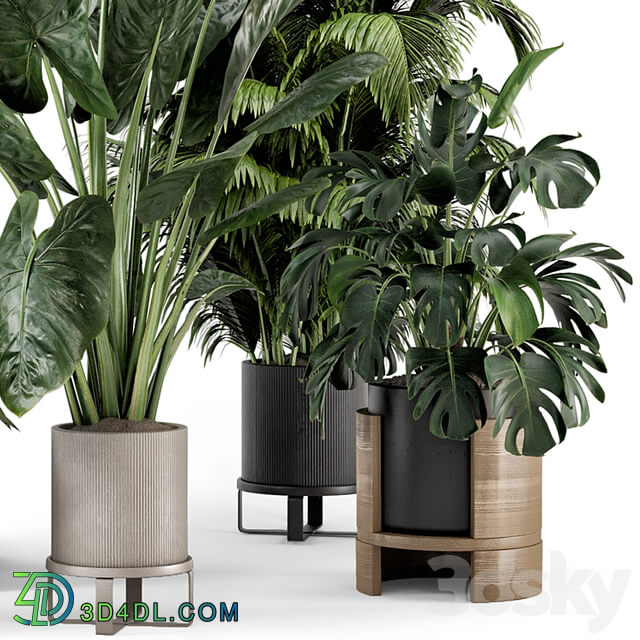 Indoor Plants in Ferm Living Bau Pot Large Set 1188