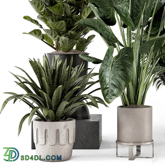 Indoor Plants in Ferm Living Bau Pot Large Set 1188