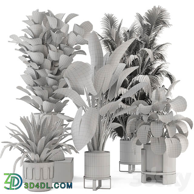 Indoor Plants in Ferm Living Bau Pot Large Set 1188