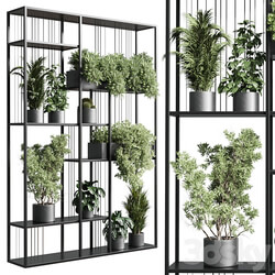 Standing metal shelf with a set of plants in concrete and metal boxes 325 