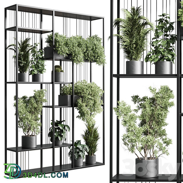 Standing metal shelf with a set of plants in concrete and metal boxes 325