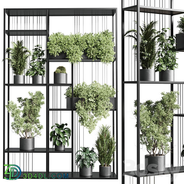 Standing metal shelf with a set of plants in concrete and metal boxes 325