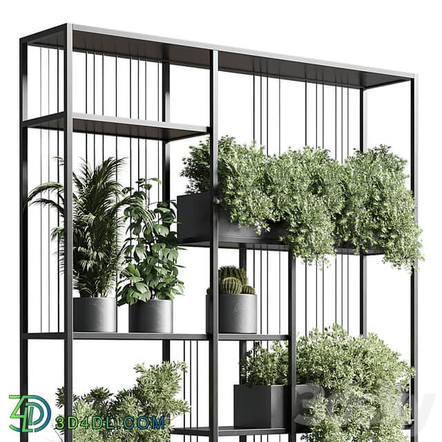 Standing metal shelf with a set of plants in concrete and metal boxes 325