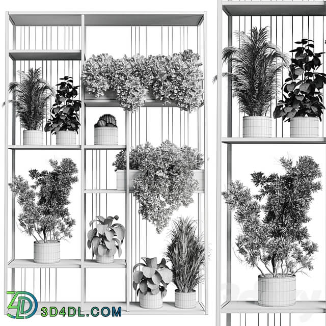 Standing metal shelf with a set of plants in concrete and metal boxes 325