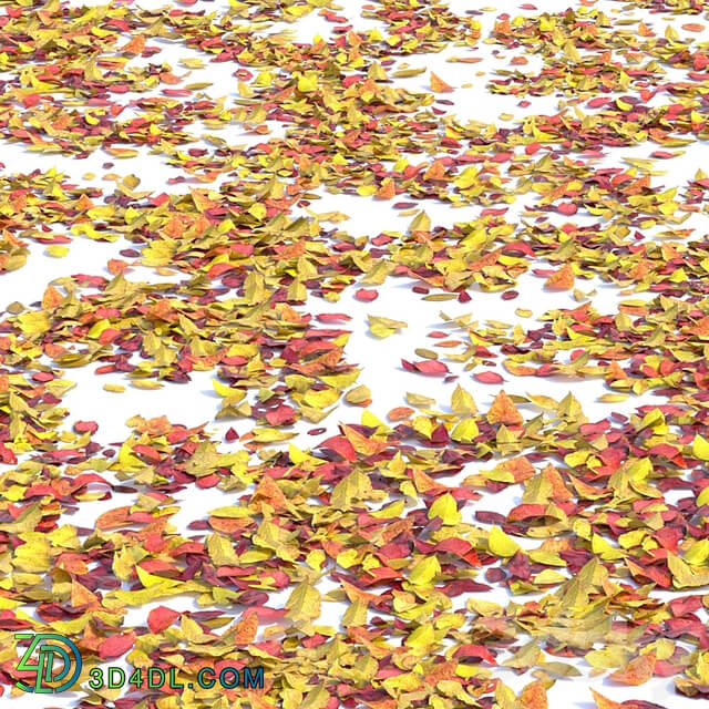 Autumn leaves. Set of dry leaves