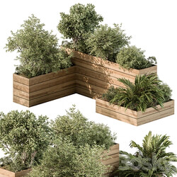 Plant Box Outdoor Plants 487 