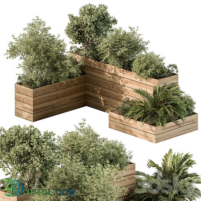 Plant Box Outdoor Plants 487