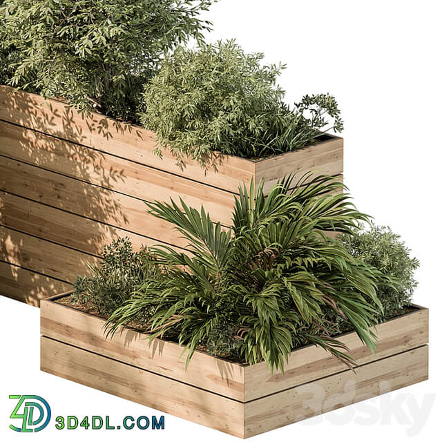 Plant Box Outdoor Plants 487