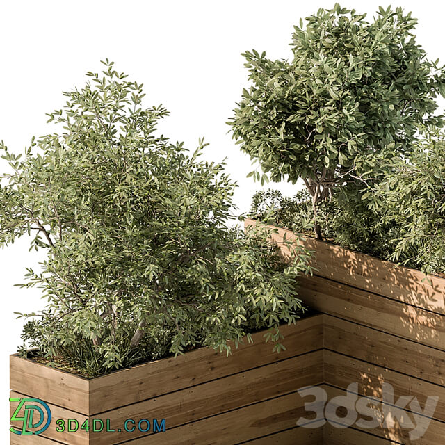 Plant Box Outdoor Plants 487