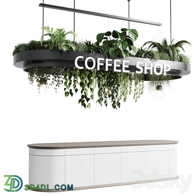 Coffee shop reception, Restaurant counter by hanging plant 01