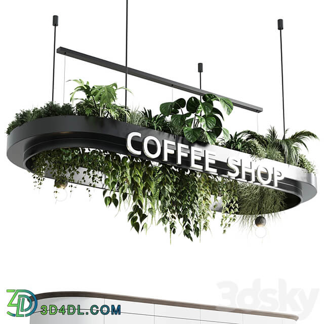 Coffee shop reception, Restaurant counter by hanging plant 01