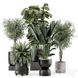 Indoor Plants in Ferm Living Bau Pot Large Set 1277 